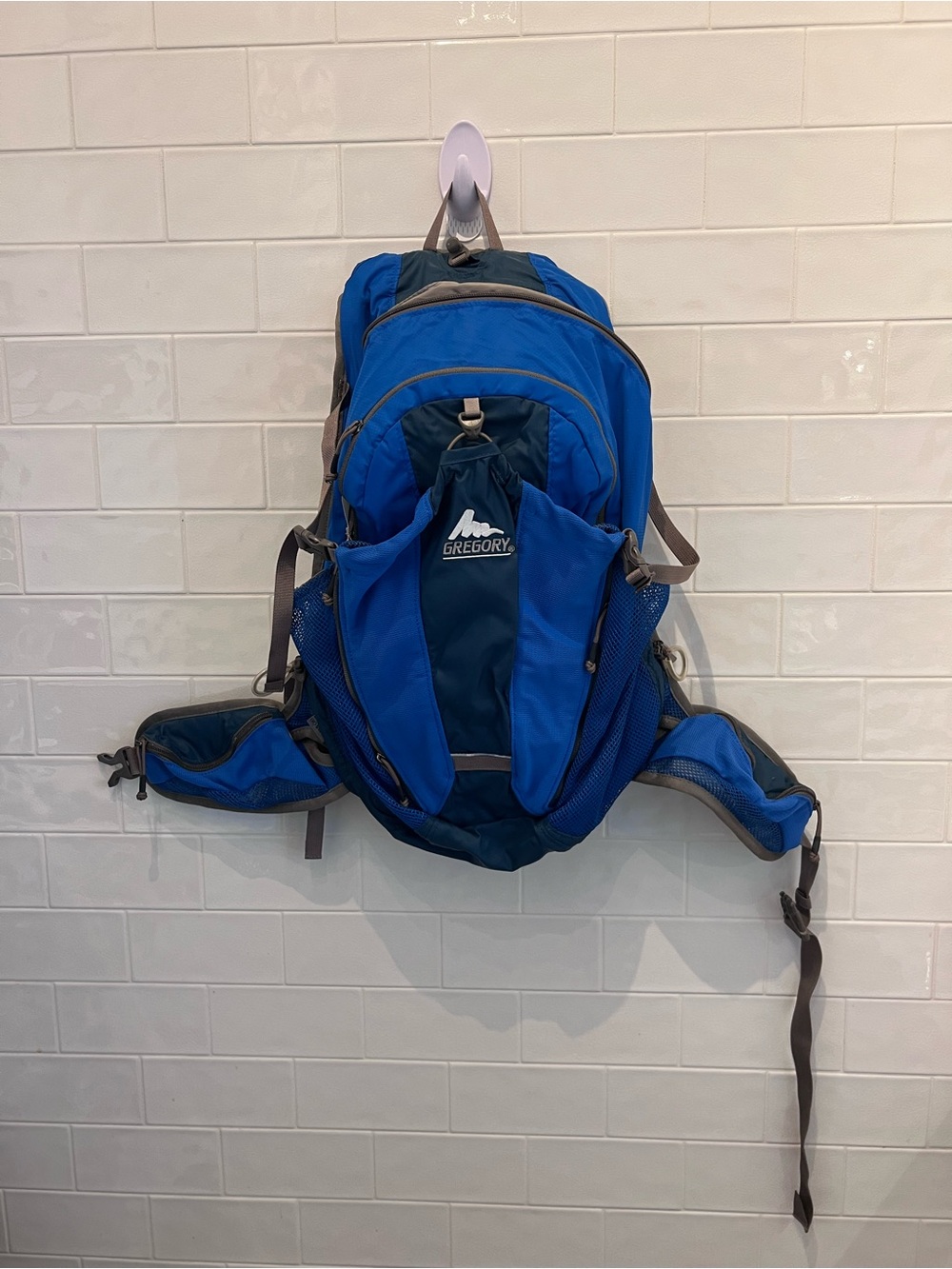 Gregory Blue 20L Hiking Backpack